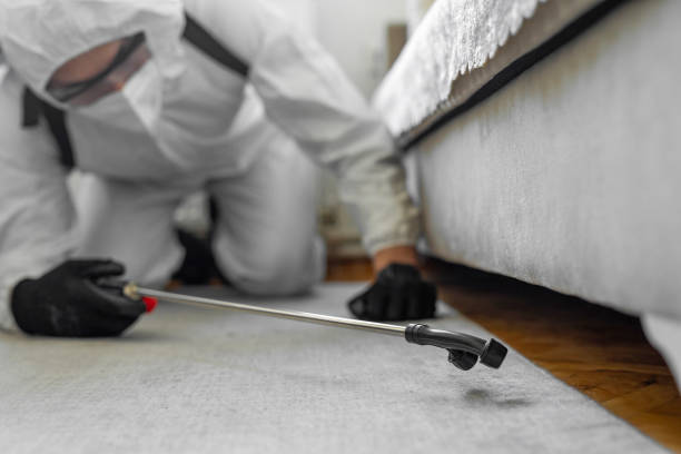 Professional Cockroach Control technician working in Winona County County, MN